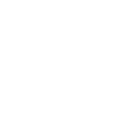 loader image